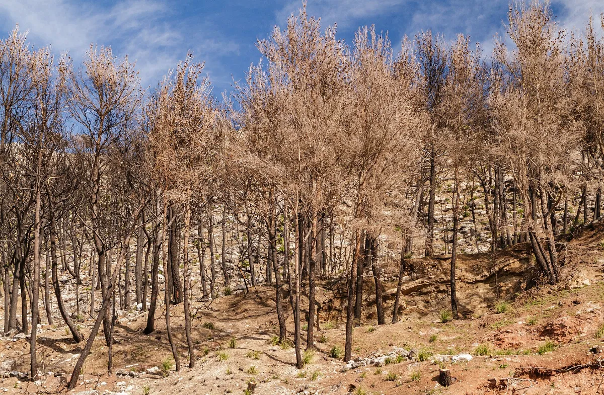 Klimawandel 001 2014 03 18