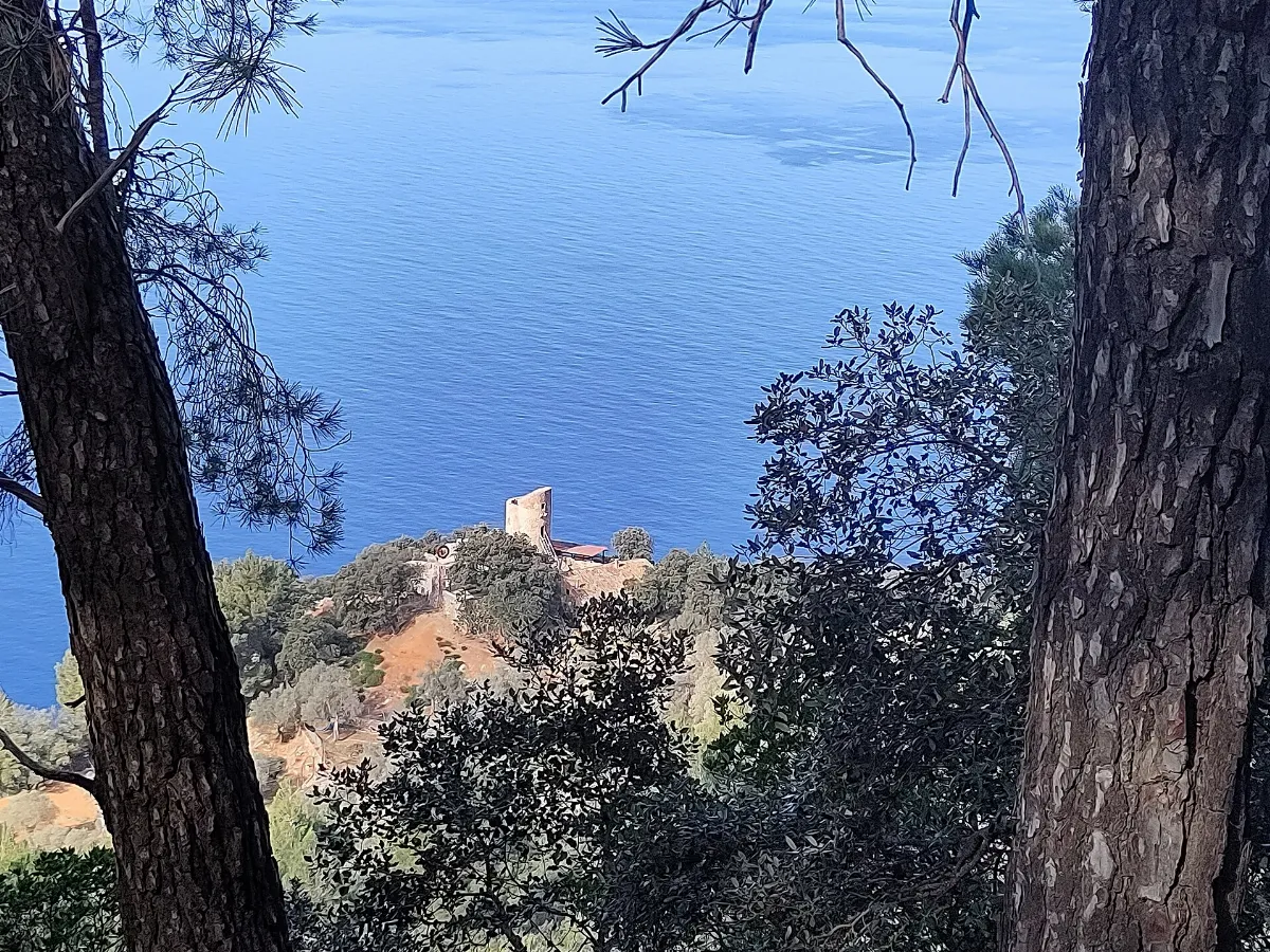 Valldemossa. Torre de Son Galceran (2)