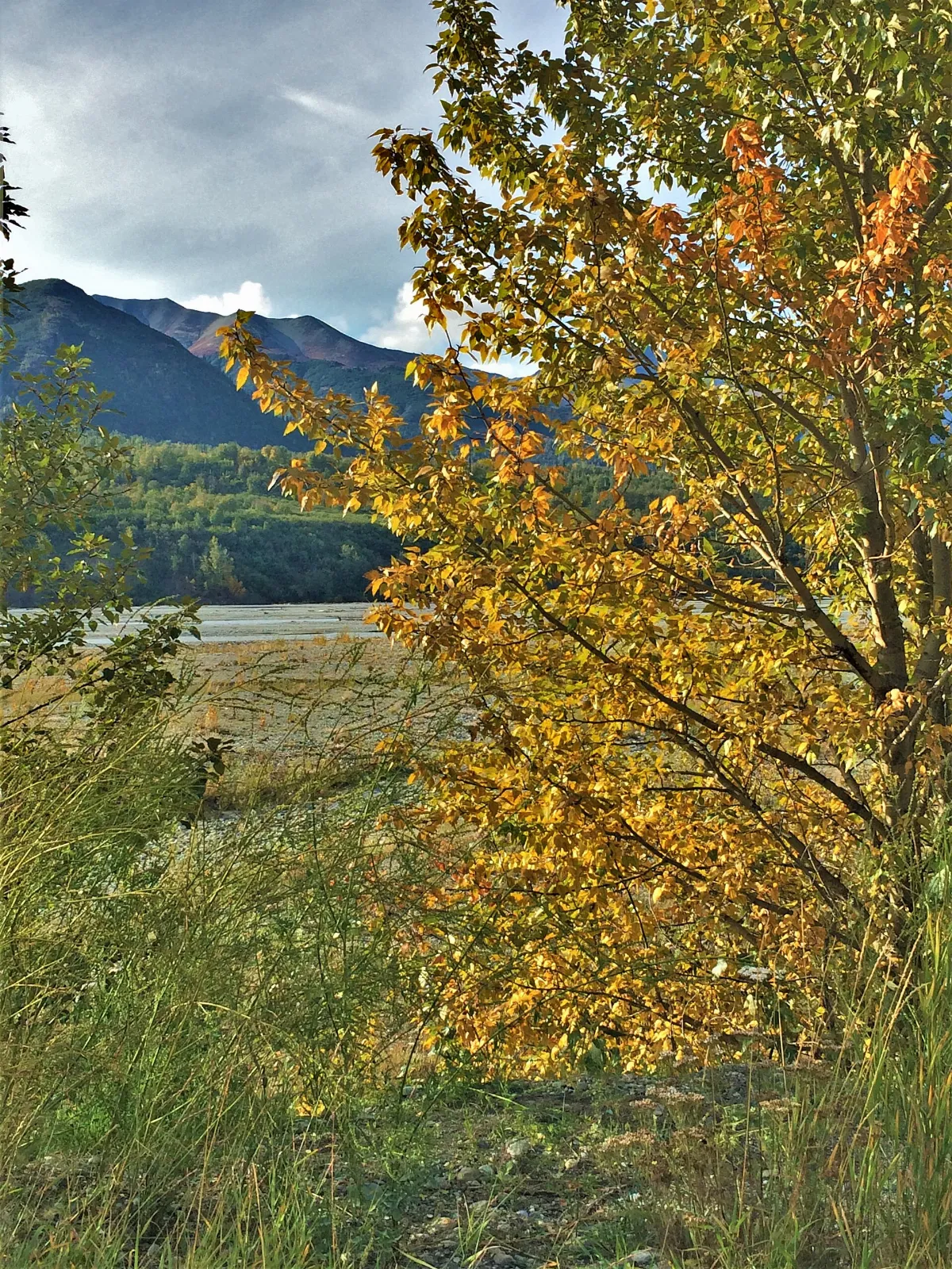 Matanuska Valley ENBLA09