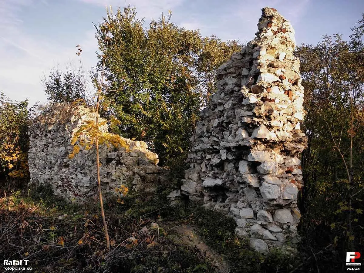 Bochotnica, Zamek Esterki - fotopolska.eu (253864)