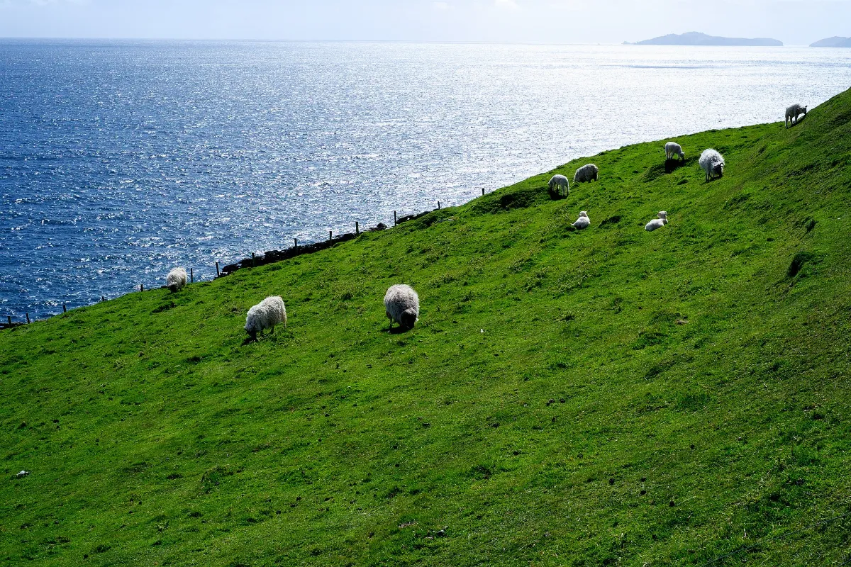 Dingle Peninsula - 2013 - 18