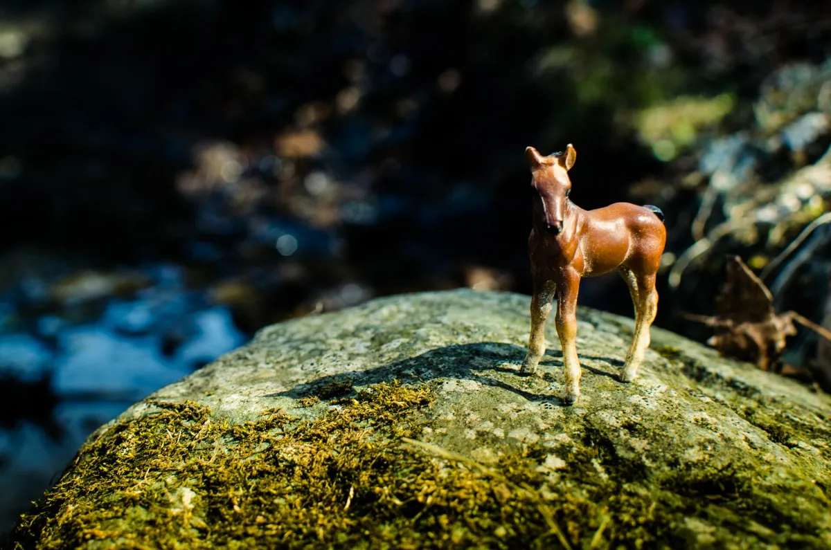 Mossy Foal