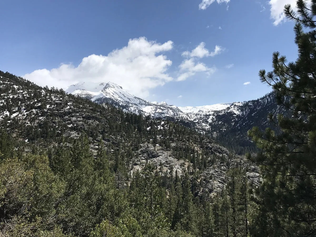 Stanislaus National Forest, Pinecrest, United States May 07, 2017 021007