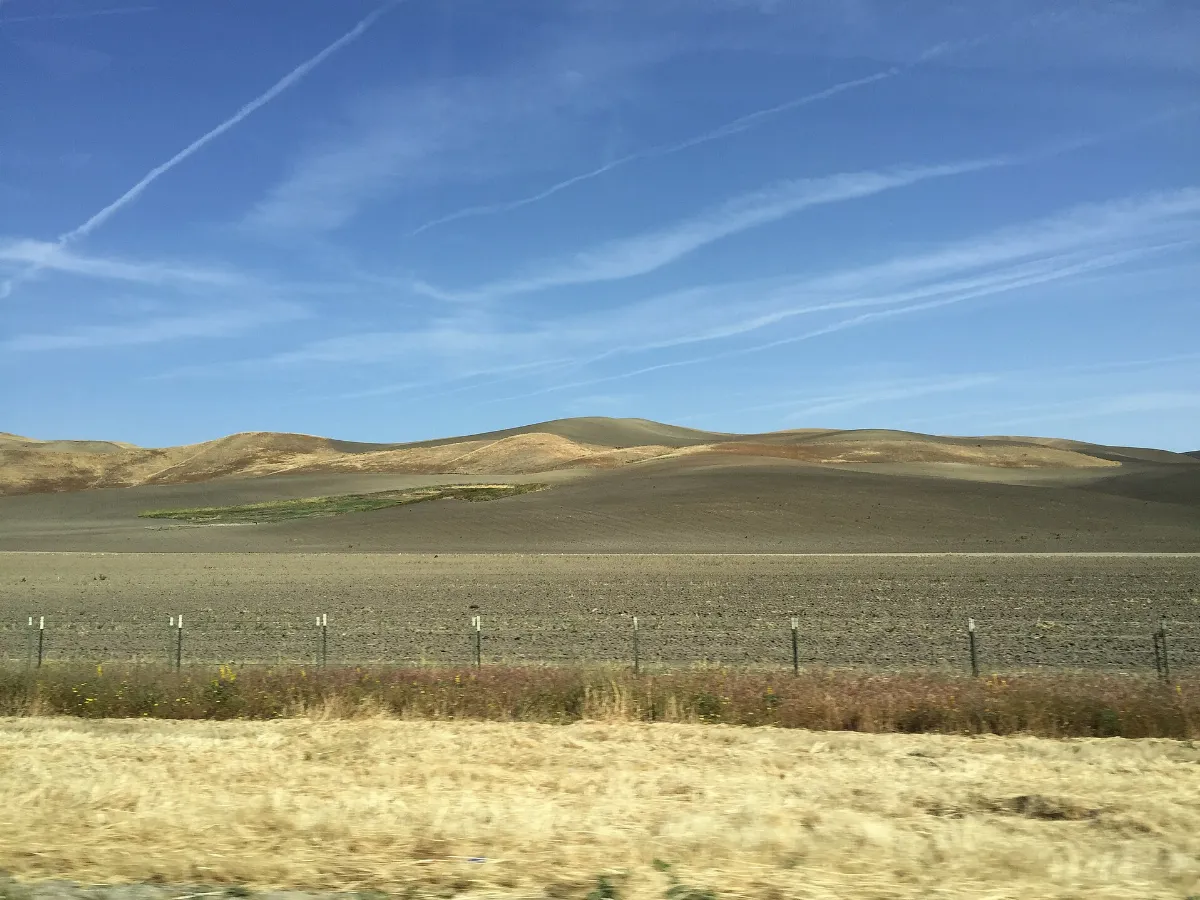 Cholame Hills