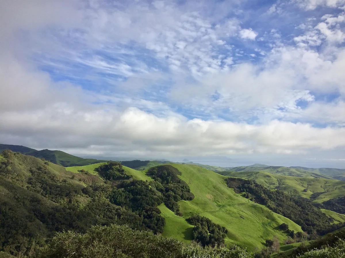 Green & blue from CA-46 (46568419385)