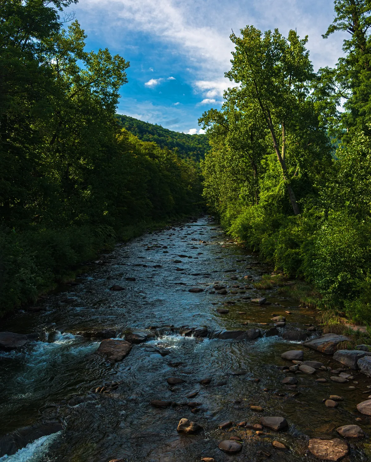 Stony Clove Creek, Phoenicia, NY