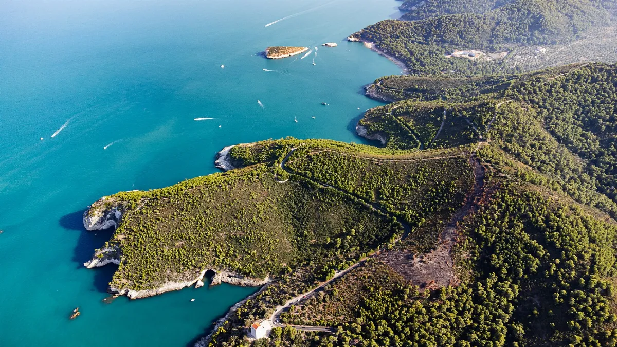 Gargano vista dall'alto 1