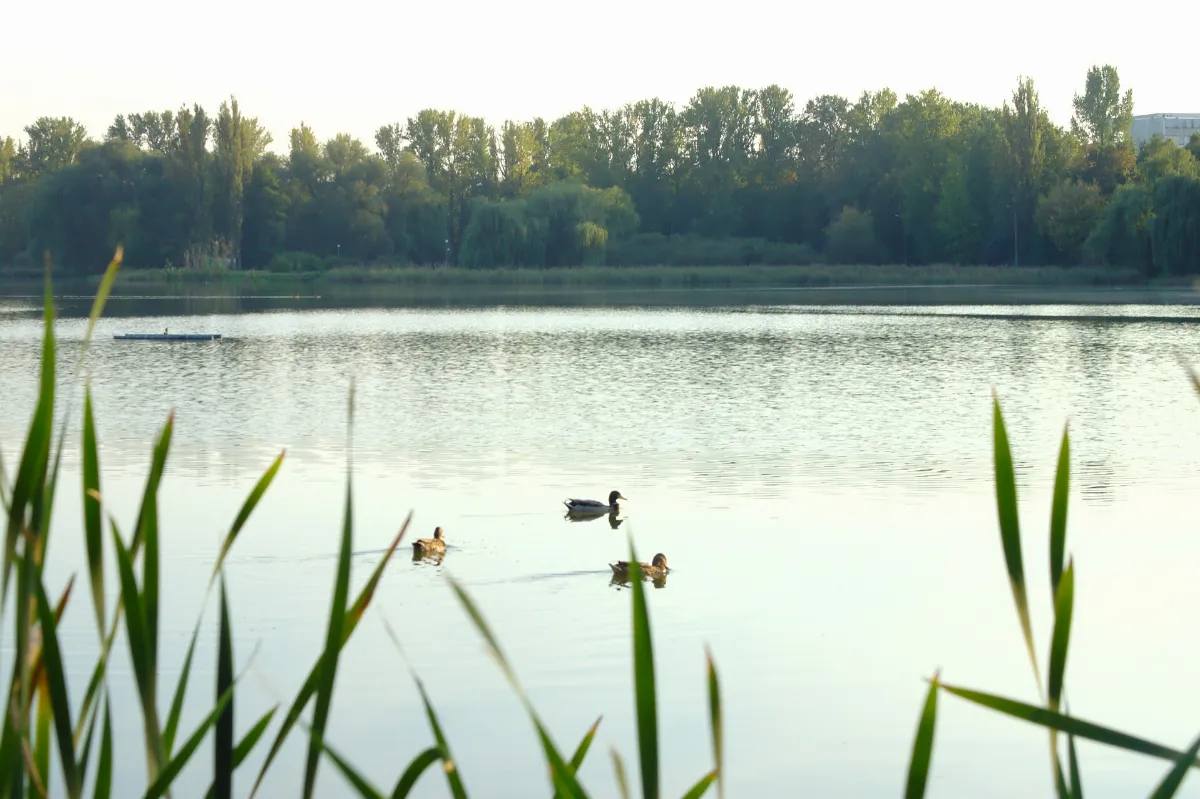 Hnězdno, jezero Jelonek II