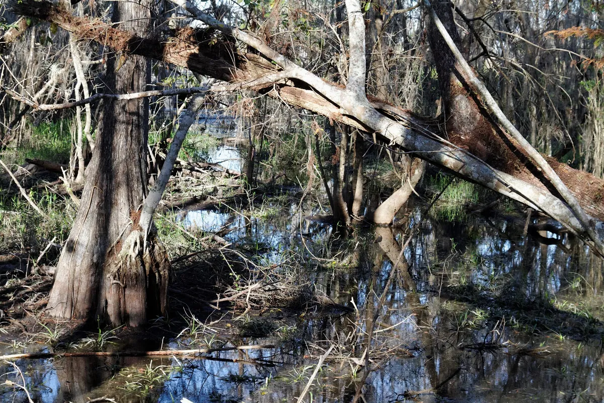 Kirby Storter Roadside Park (6758249503)