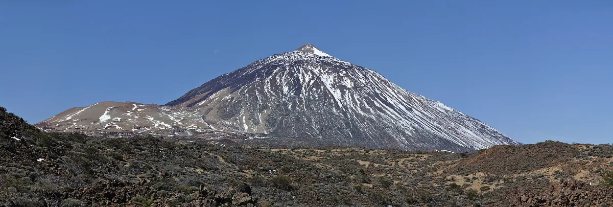 Teide qtl1