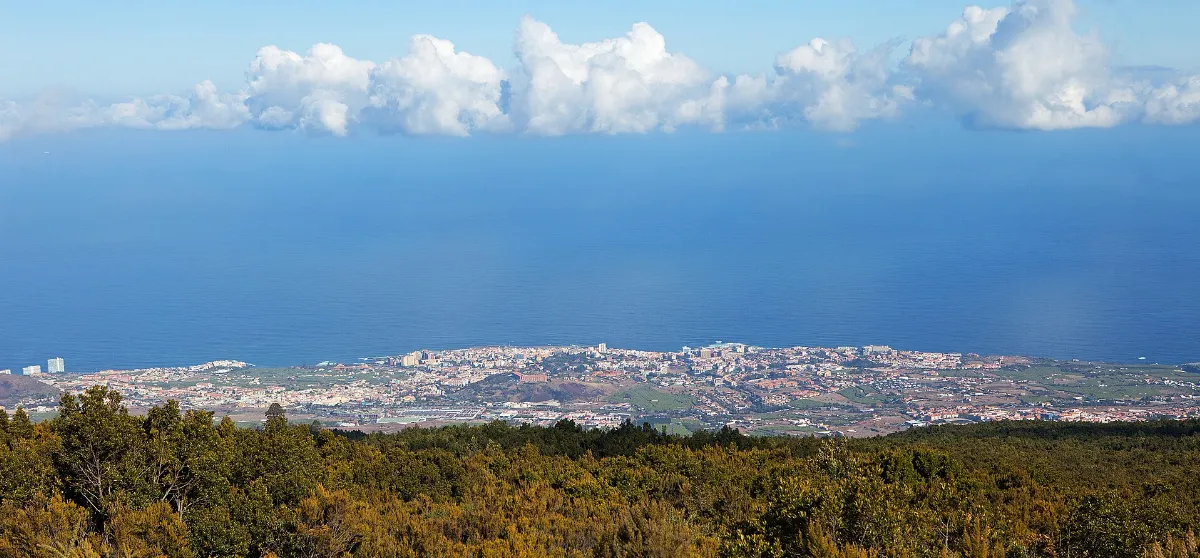 Teneriffa February 2012 - panoramio (2)