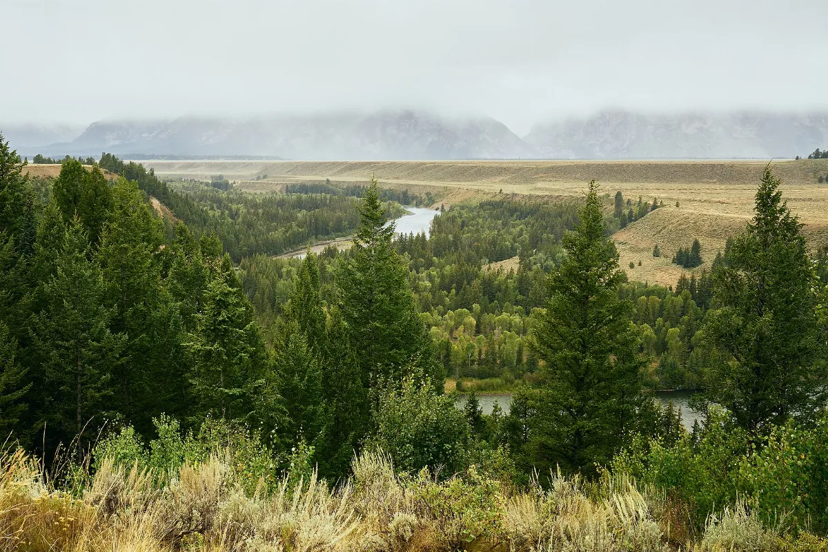 Snake River Overlook (50498053986)