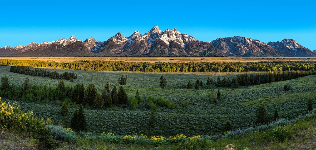 Teton Panorama (43699558565)