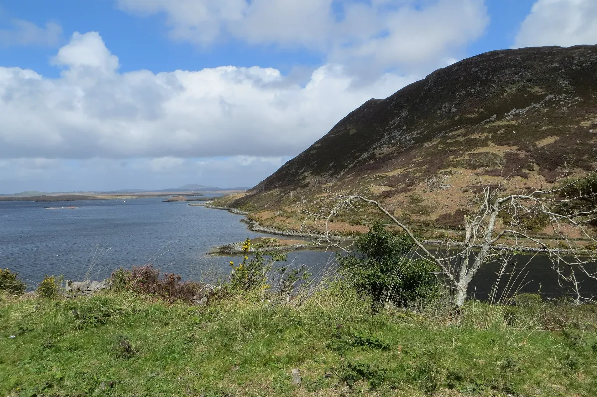 Near Mallarany - geograph.org.uk - 4479030