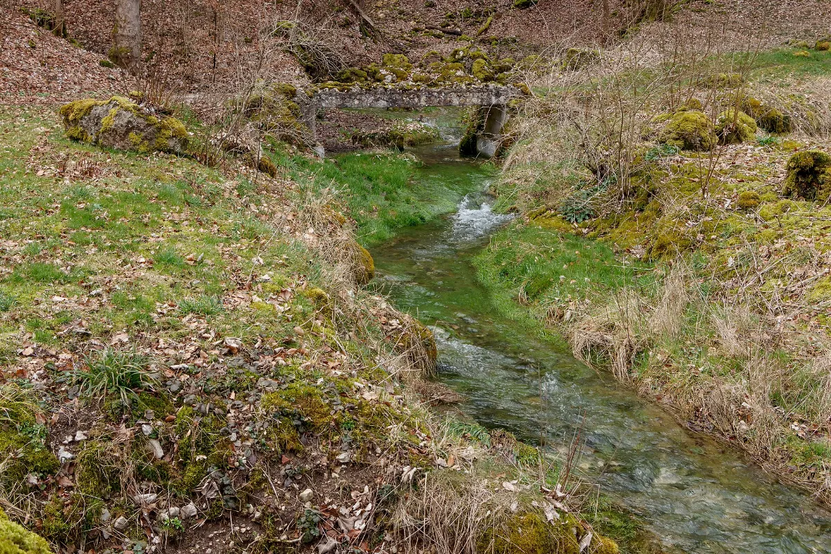 Echazquellen 01