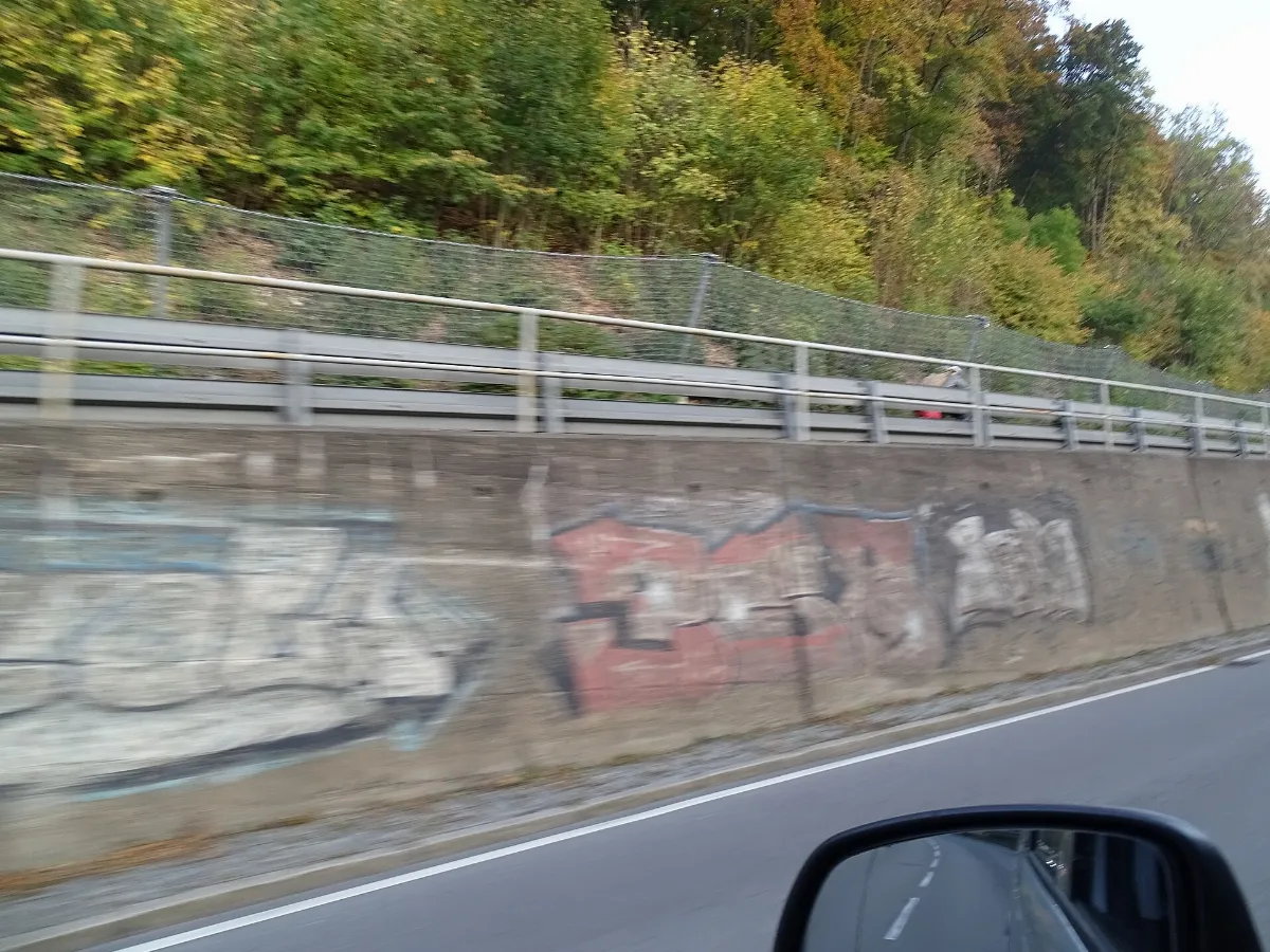 Trasse der Zahnradbahn Honau-Traifelberg 01