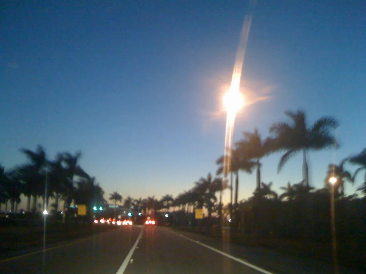 The Alligator Alley