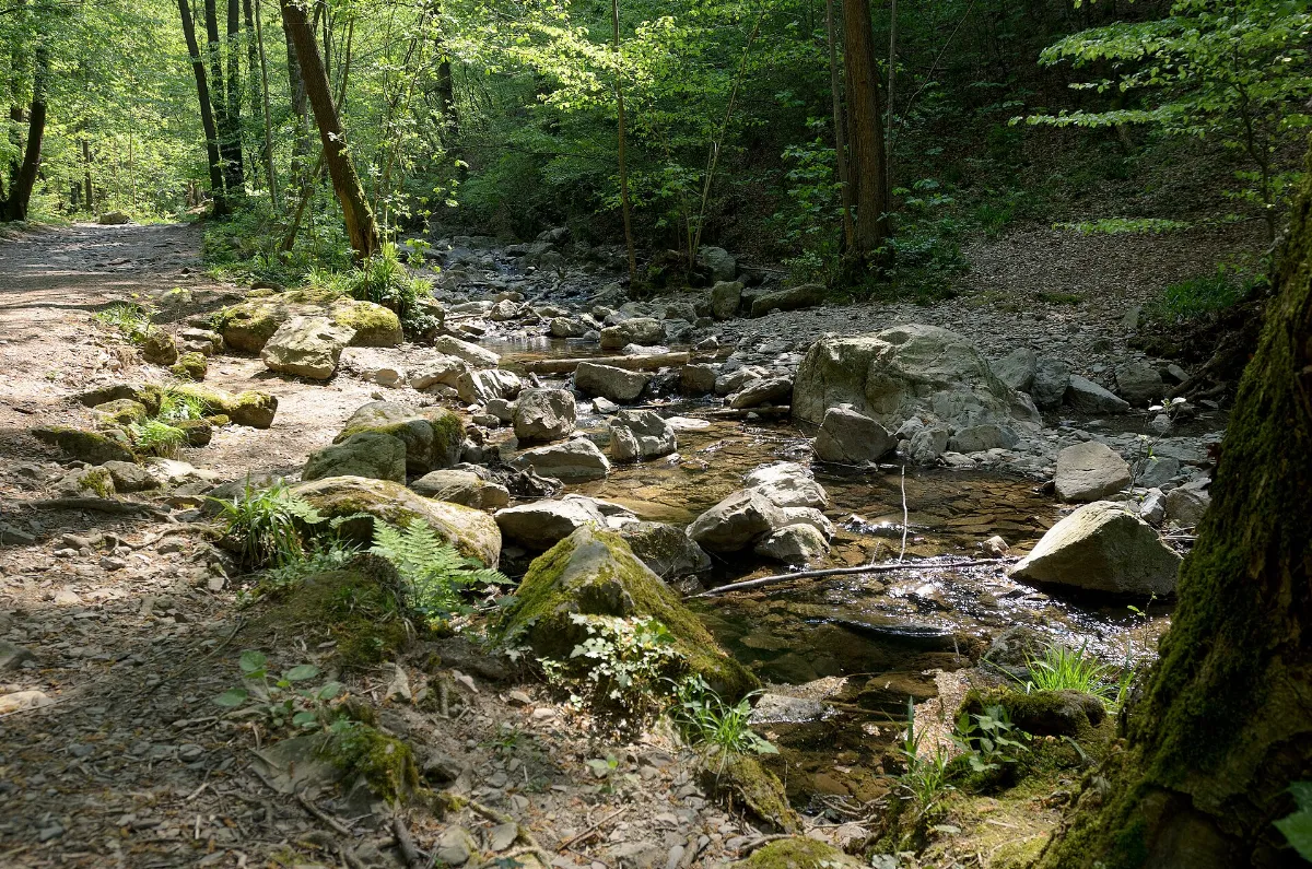 Ninglinspo - panoramio