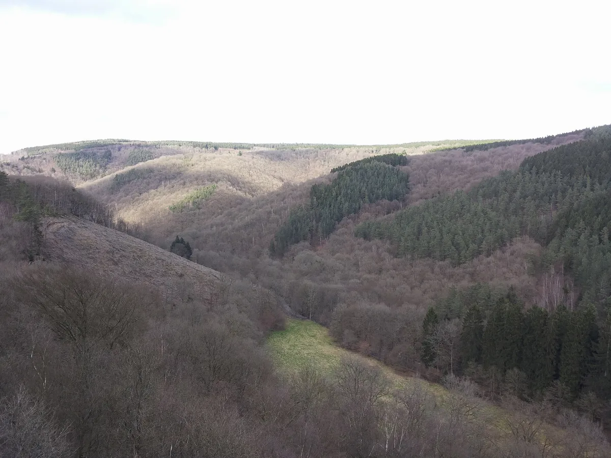 Ninglinspo-Point de vue Drouet (2)