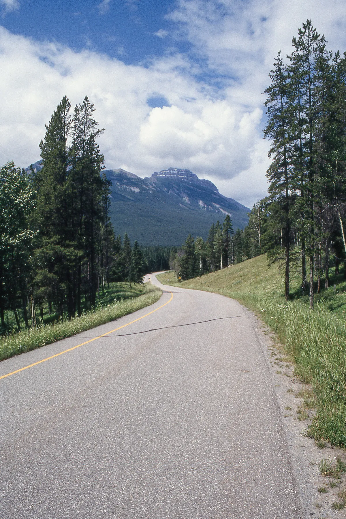 The Bow Valley Parkway