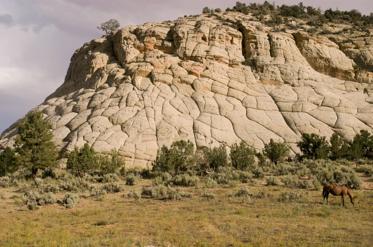 The Burr Trail