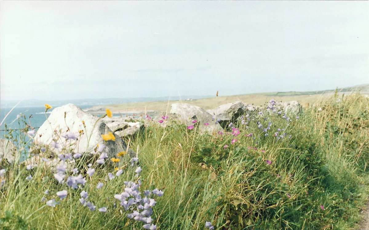 Limestone wall beside the R477 south of Ailladie - geograph.org.uk - 2554883