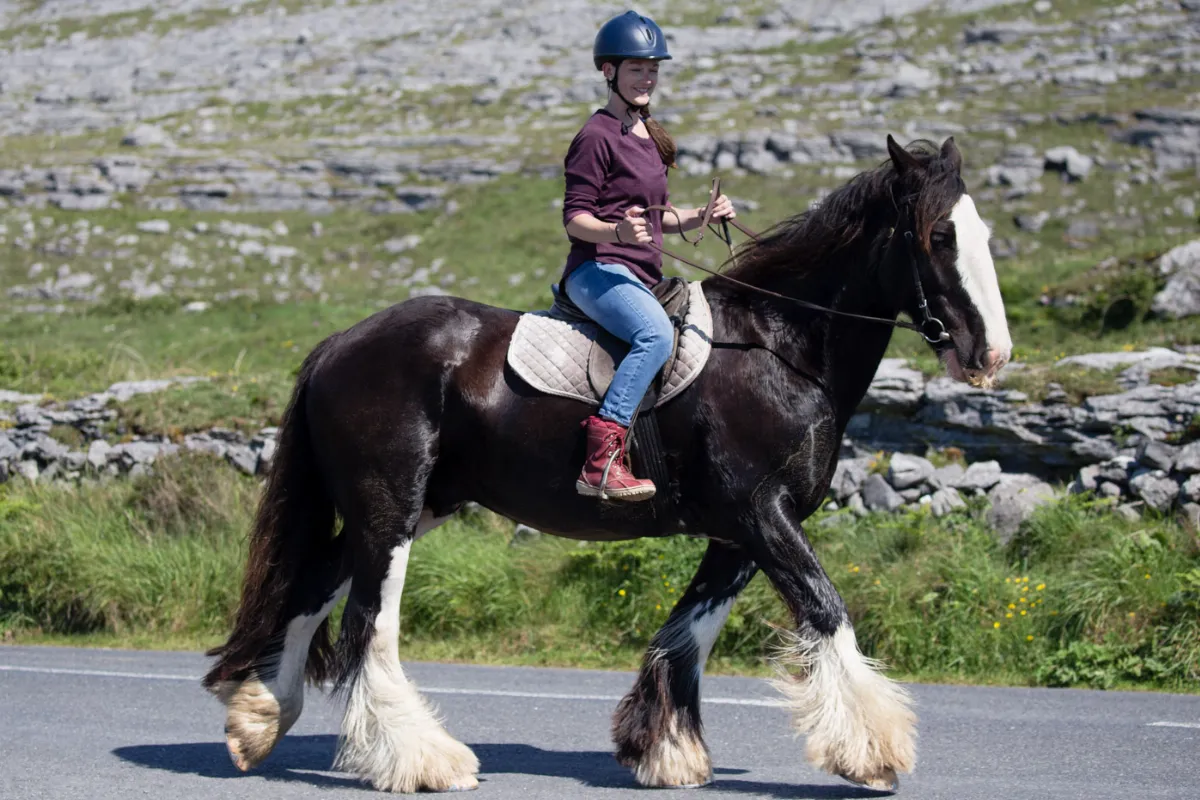 Hästar på Aran-5094 - Flickr - Ragnhild & Neil Crawford