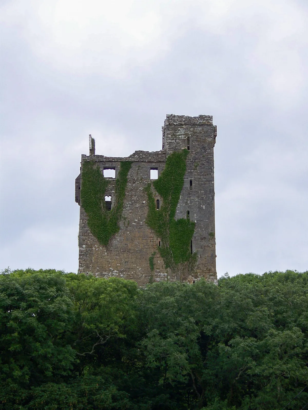 Ballinalacken Castle (Ireland)