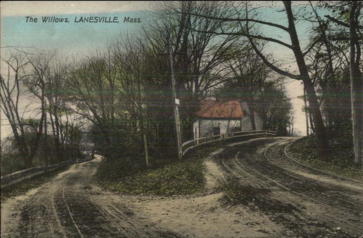 Postcard view of the willows, Lanesville, Massachusetts