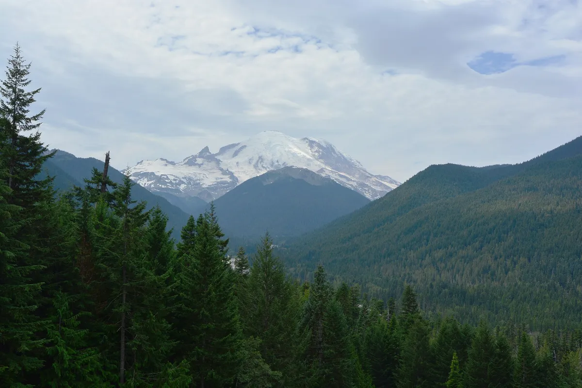 Peak of Mount Rainier from Washington SR 410 just south of the road to Sunrise 01