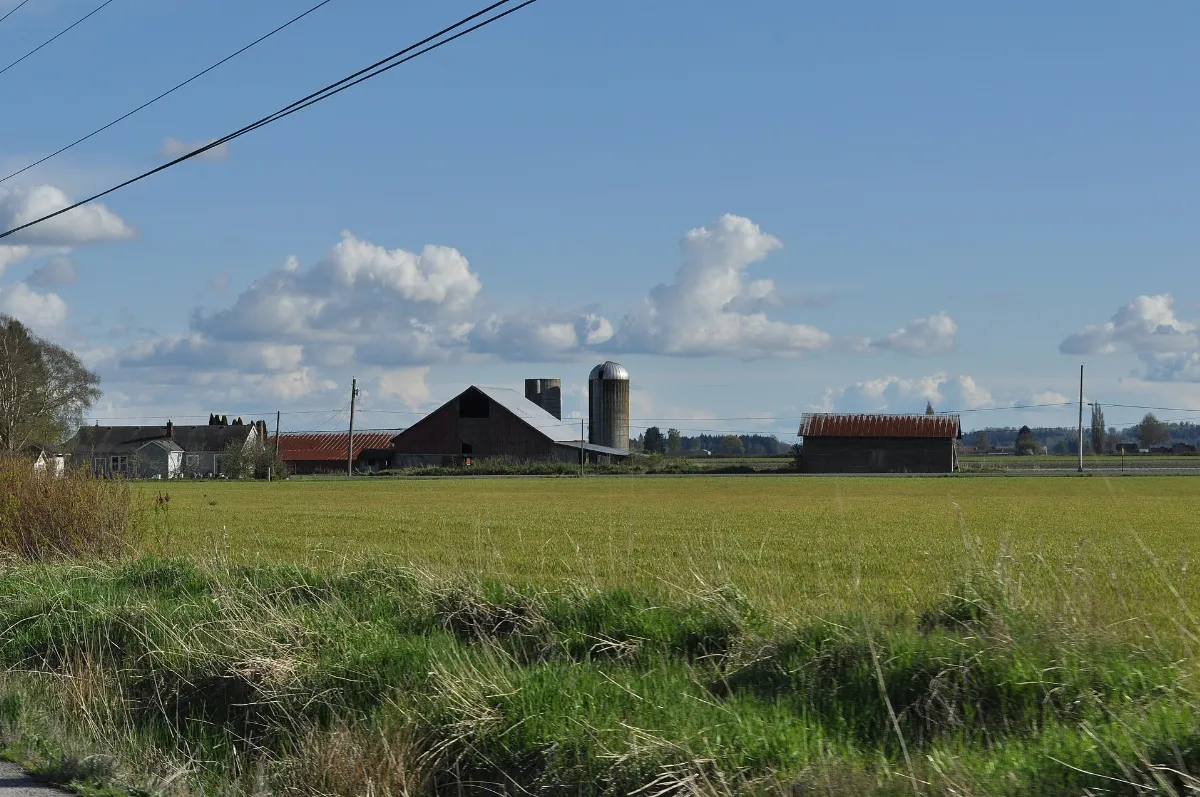 Barn on WA SR-11 just south of Bow 02