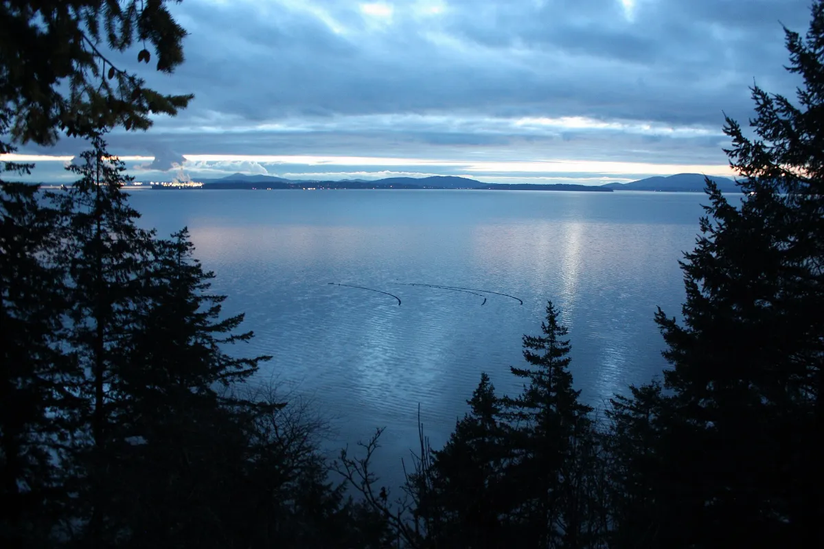 Samish Bay after dusk 03