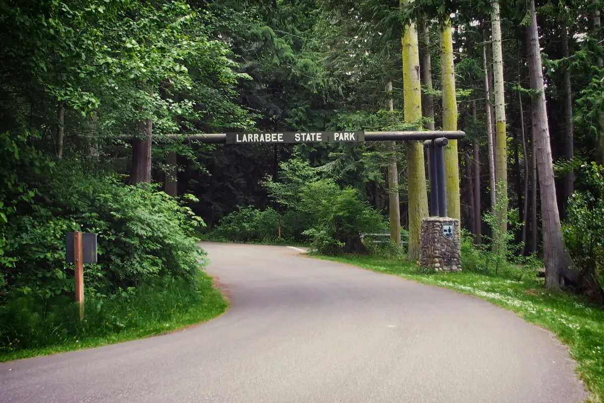 The Chuckanut Drive