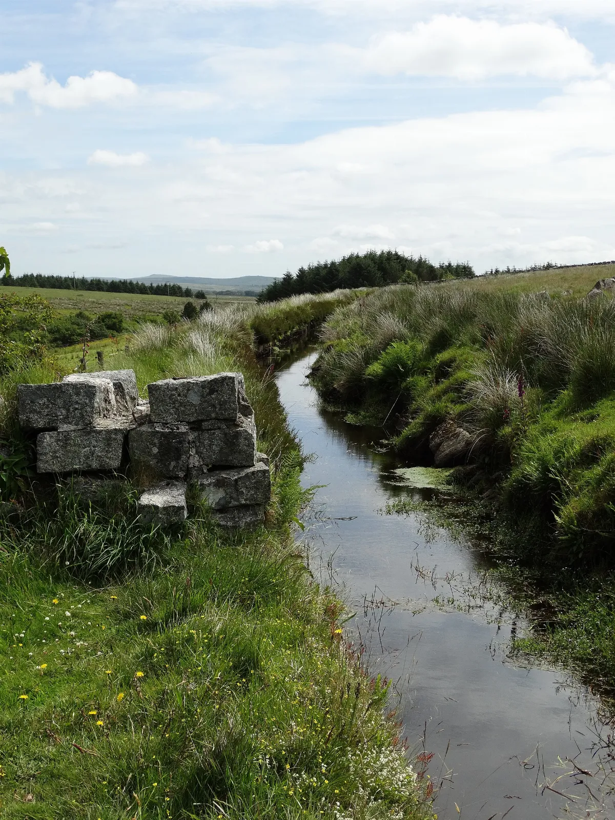 Devonport Leat near Princetown - geograph.org.uk - 4546202