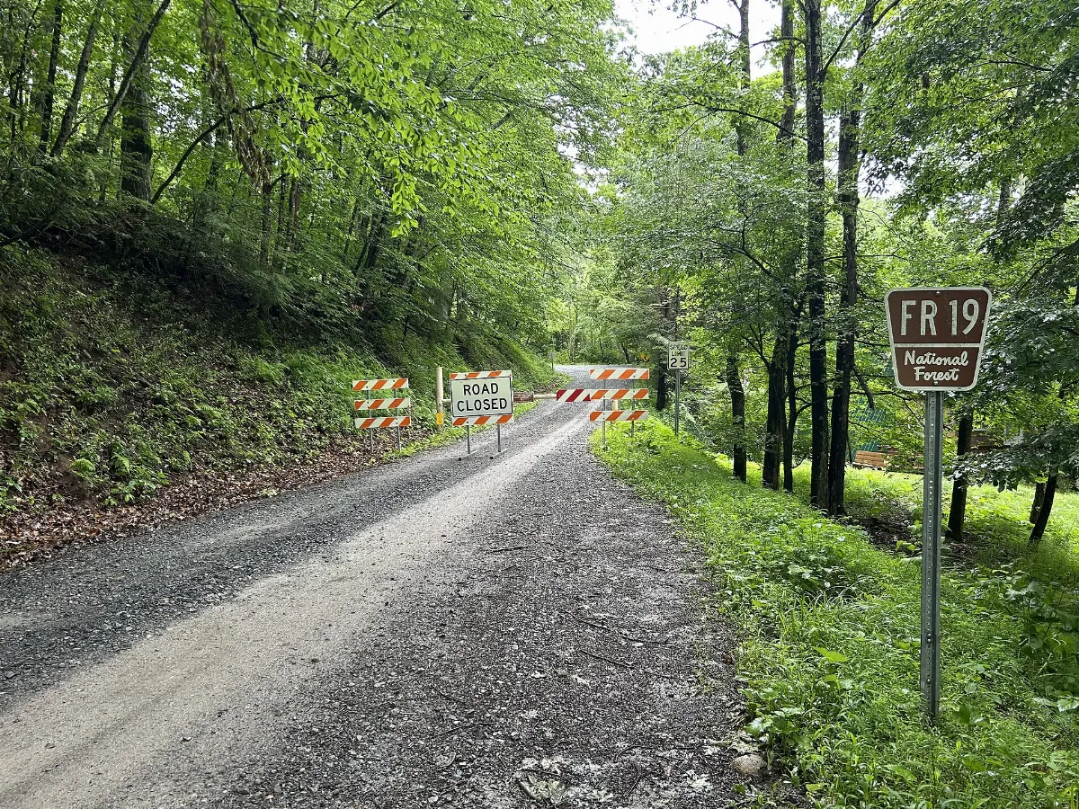 2026-06-23 12 14 22 View southwest along National Forest Road 19 at it’s northern terminus in Laneville, Tucker County, West Virginia