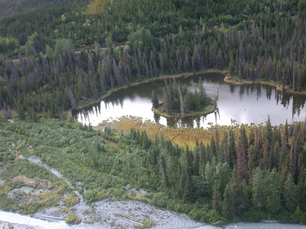 Meadow lake along Richardson Highway, Alaska