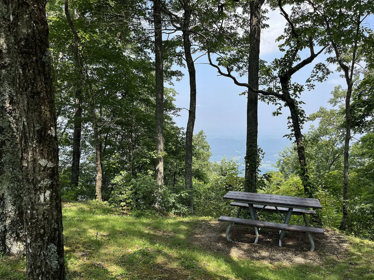 View at Look Rock Picnic Area