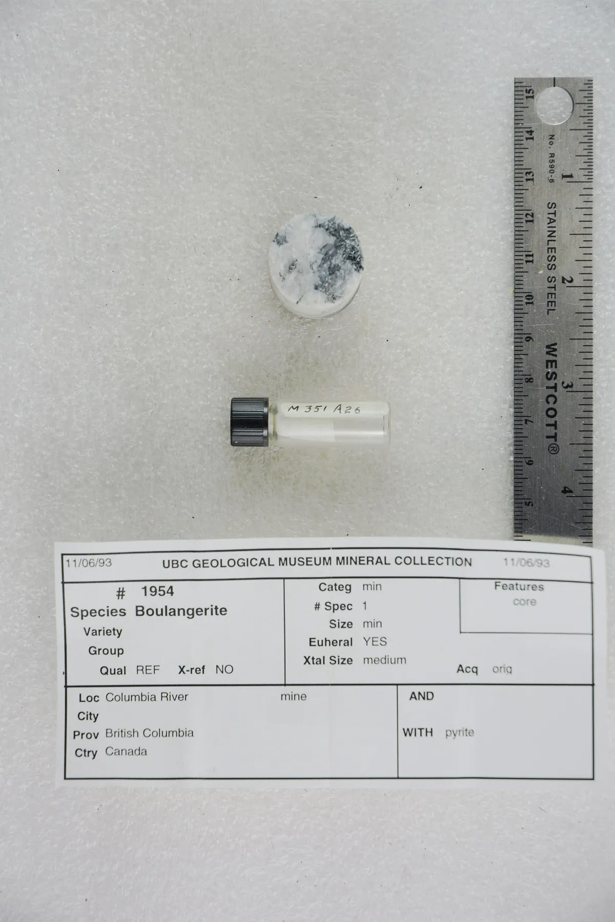 Boulangerite with Pyrite (46995660085)