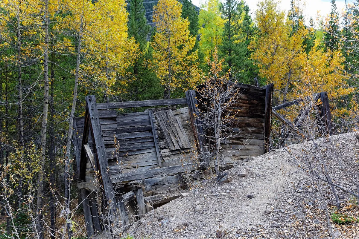 Remnants of Argentine mine? (10047773155)