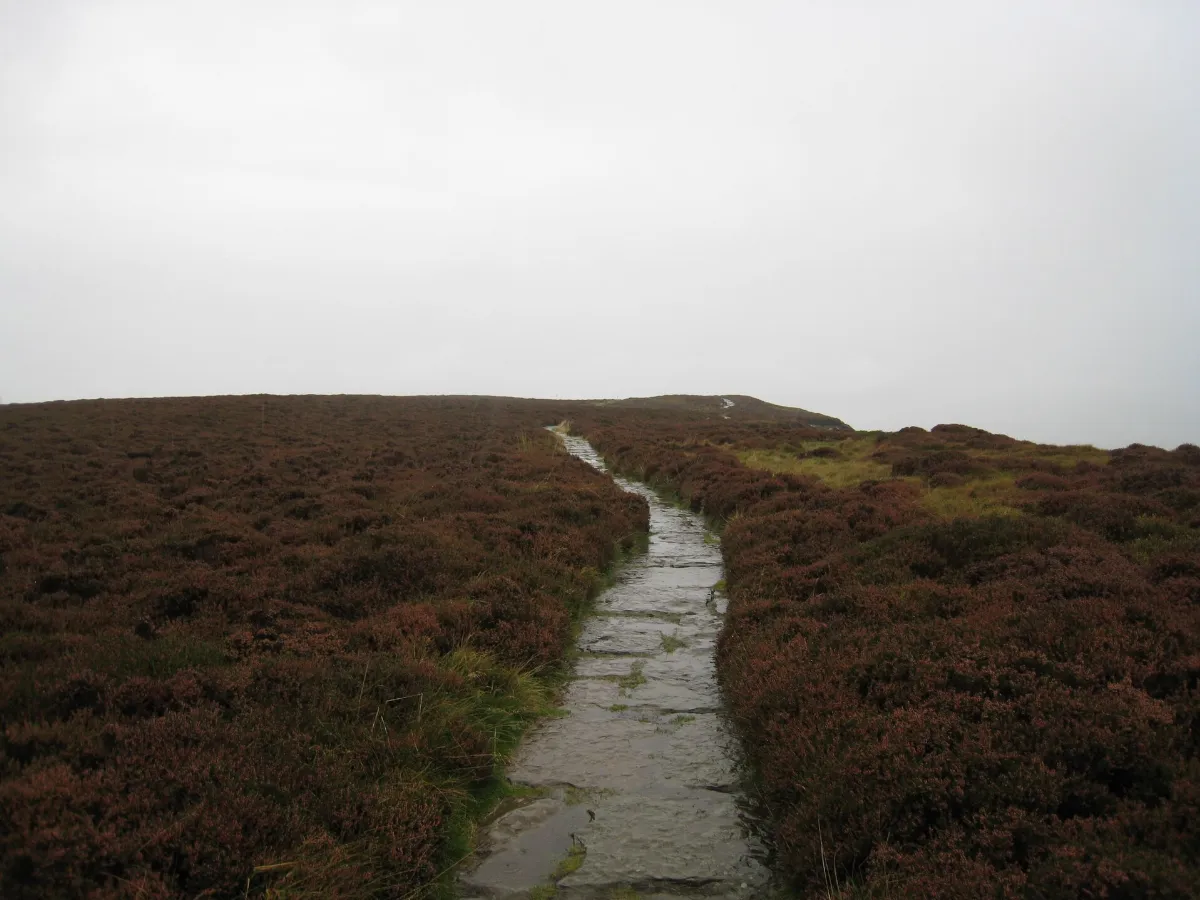 The Cleveland Way near White Hill - geograph.org.uk - 2095236