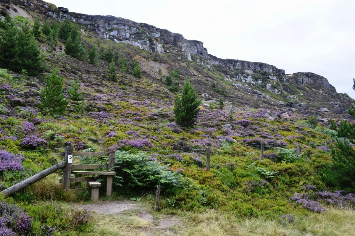 Access below the edge at Hasty Bank - geograph.org.uk - 3610659
