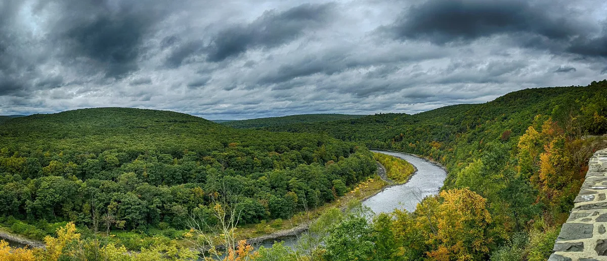 The Hawk's Nest