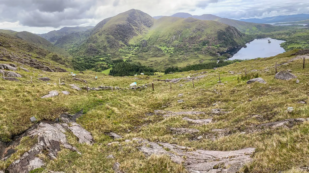 The Healy Pass