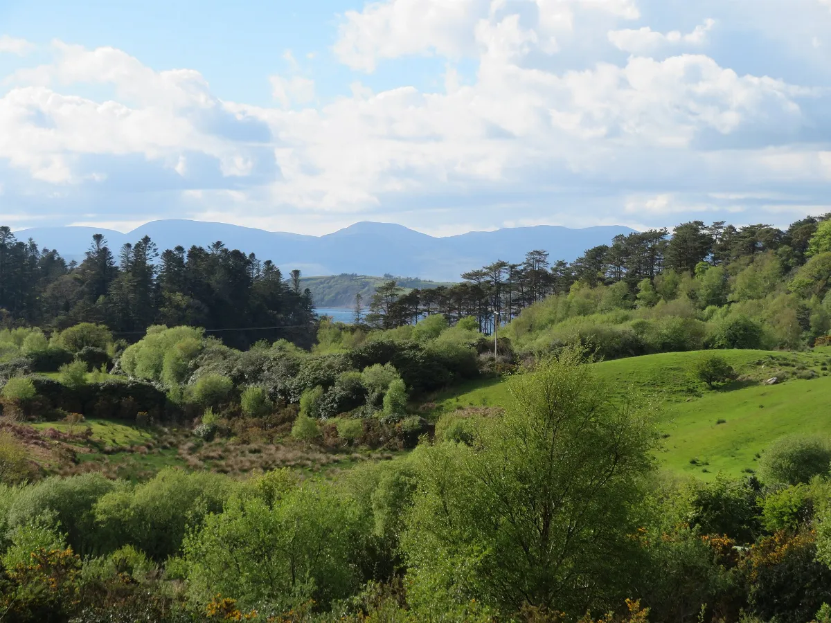 View towards the Kenmare River - geograph.org.uk - 7778437
