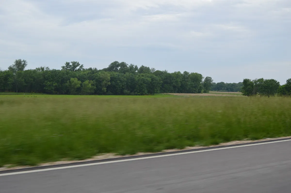 Duncan Farm Site