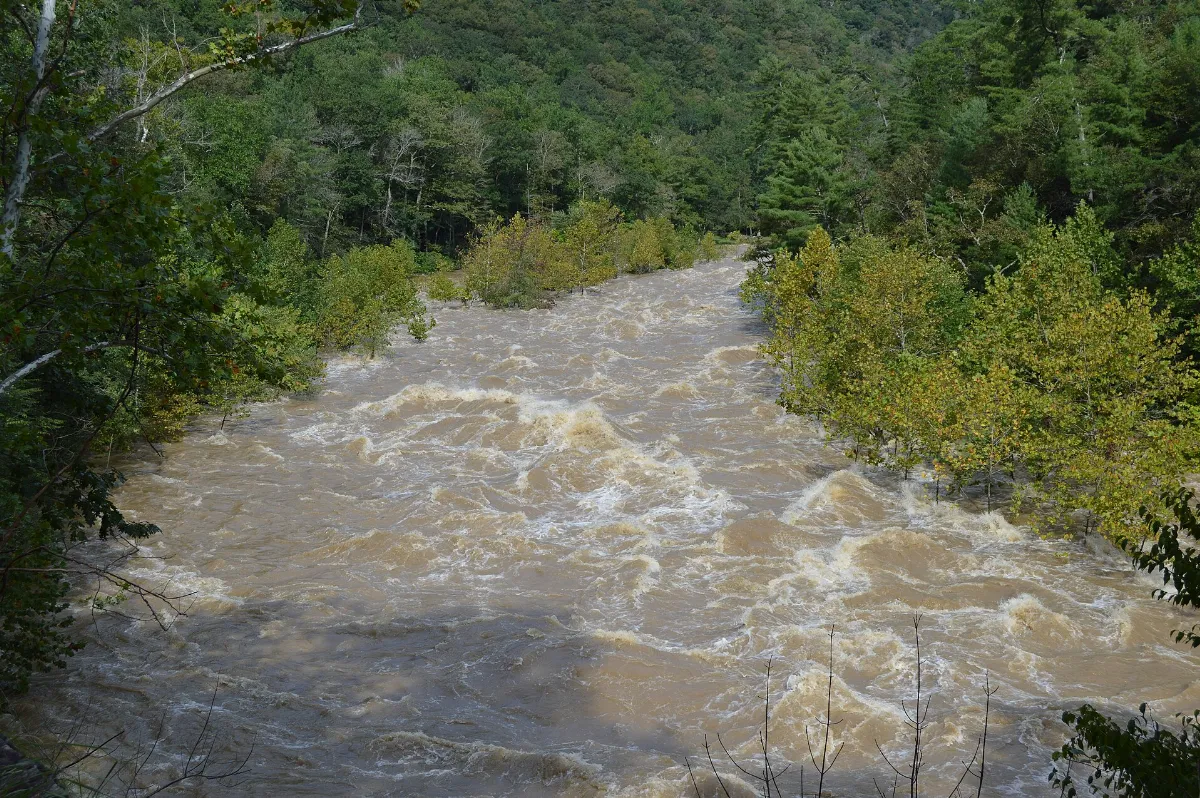 Maury River near Laurel Run, flooding at bend