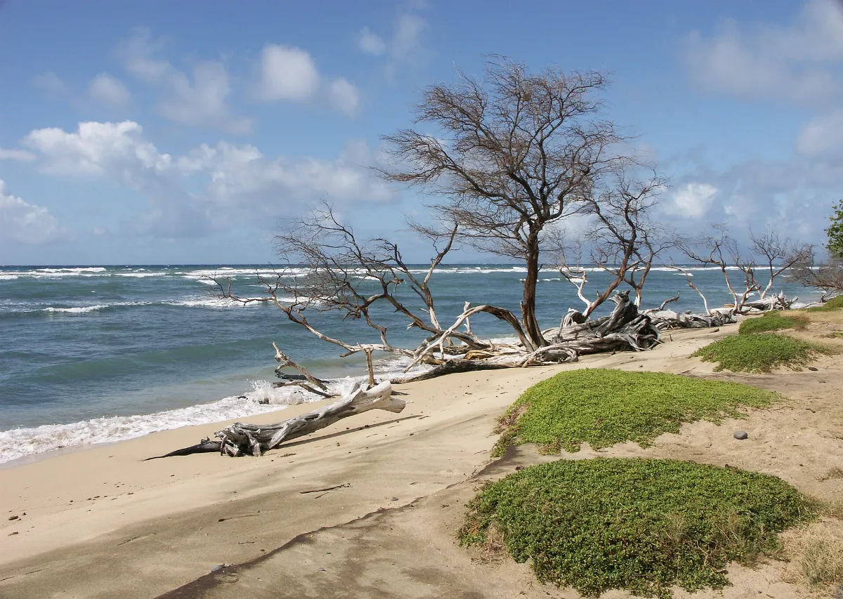Hanoapilani Beach - panoramio