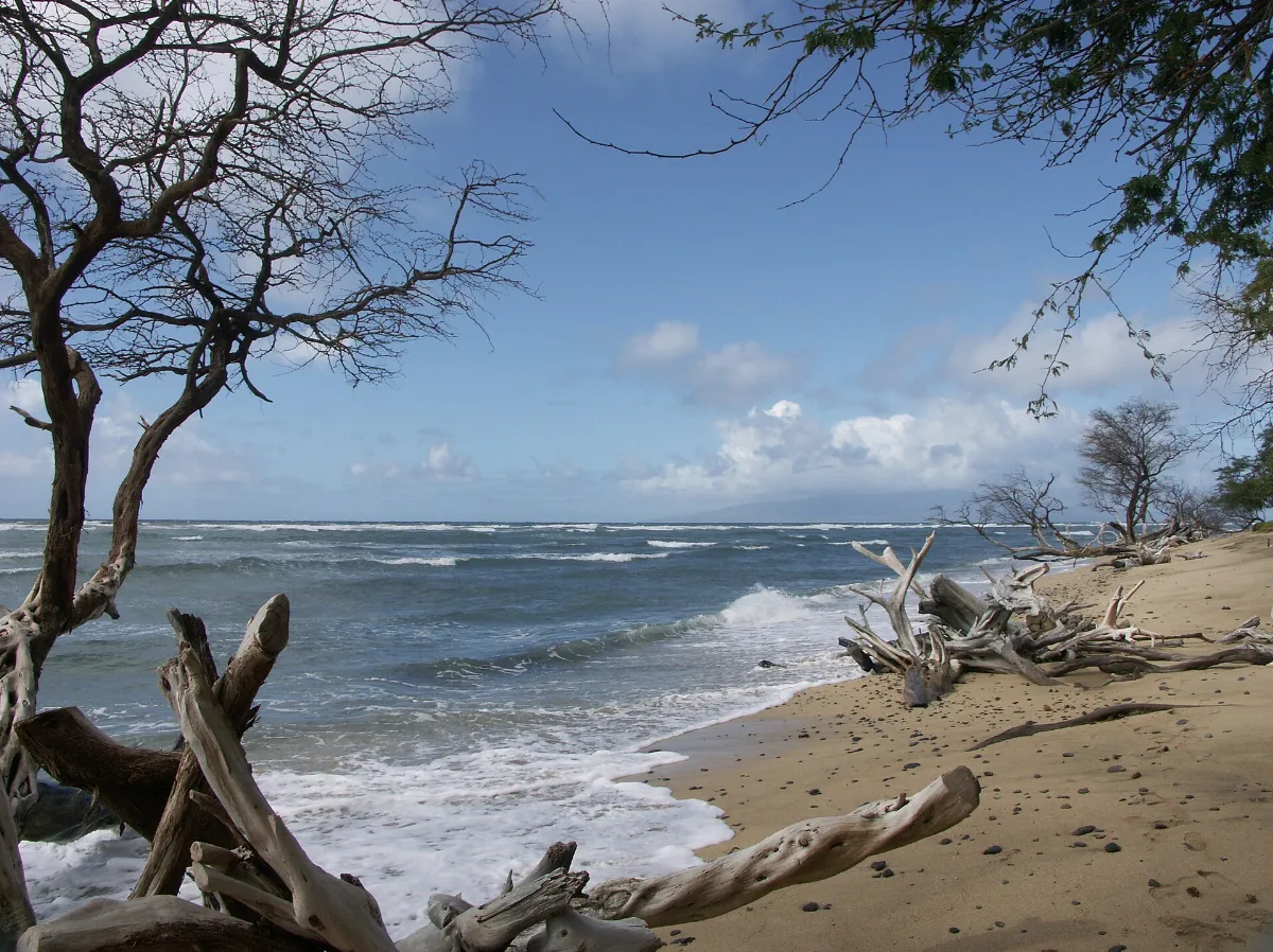 Hanoapilani Beach 2007 - panoramio