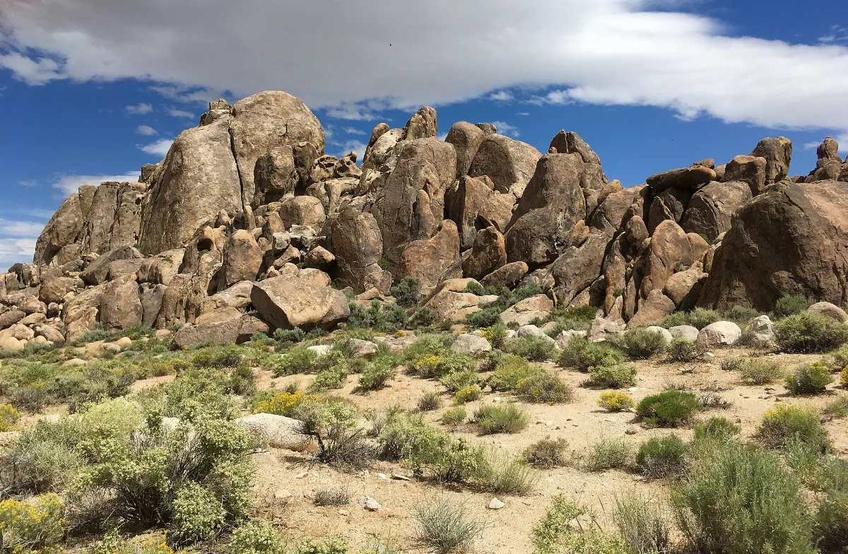 Alabama Hills - Flickr - docentjoyce