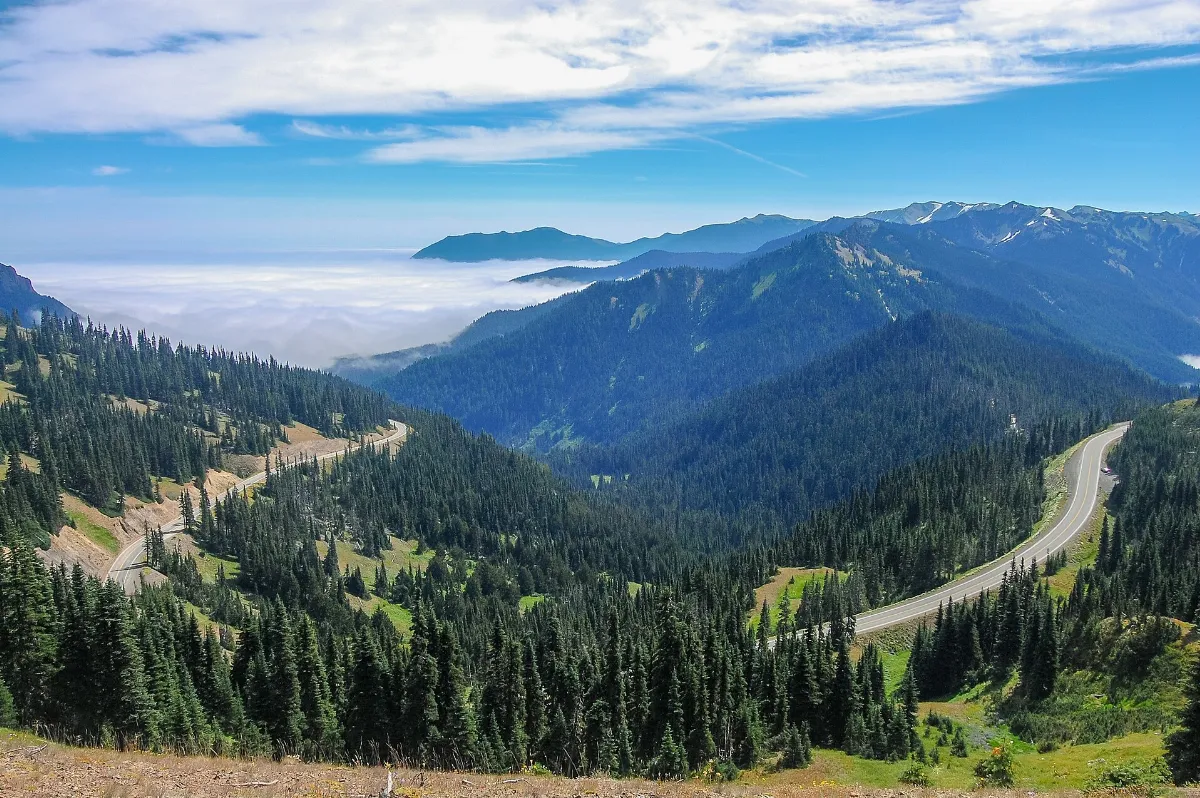 Hurricane Ridge Road, August 2012